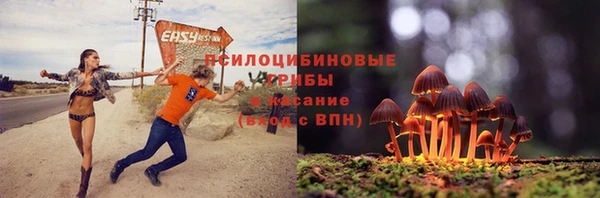 крисы Коряжма