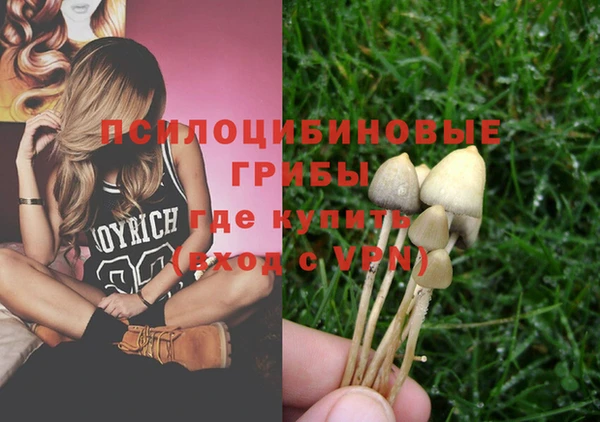 крисы Краснотурьинск