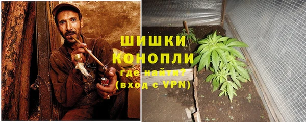 крисы Коряжма
