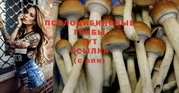 дурь Красноперекопск