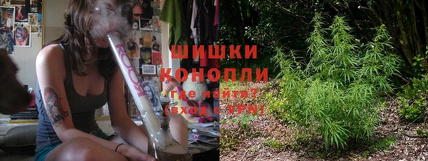 крисы Коряжма
